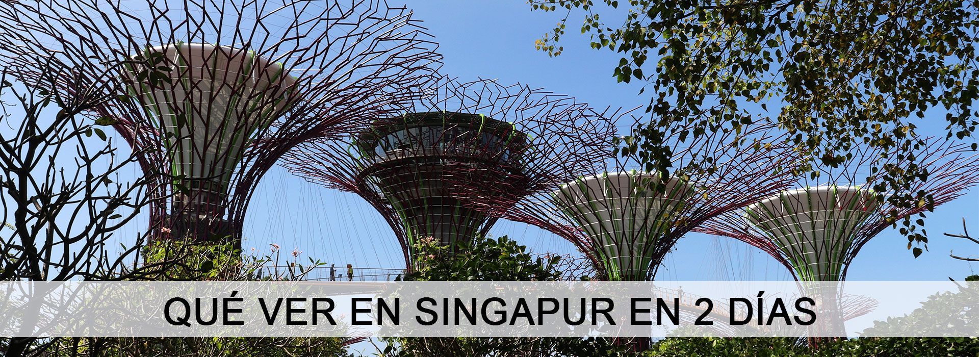 Cabecera que ver en Singapur en dos días