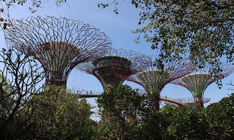 Vista arboles Gardens By The Bay