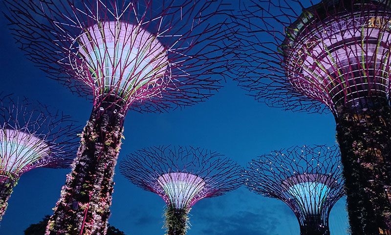 Arboles iluminados Gardens By The Bay