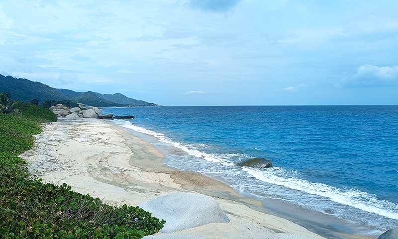 Panorámica playa Cañaveral