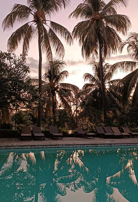 piscina con palmeras