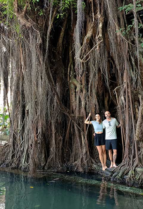 Arbol centenario en Siquijor