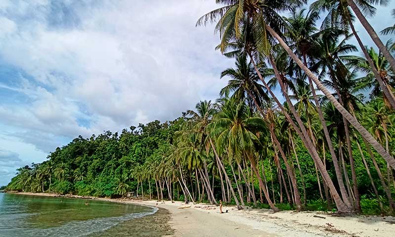 coconut beach