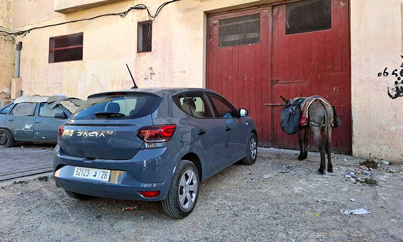 Coche aparcado con un burro al lado en Marruecos