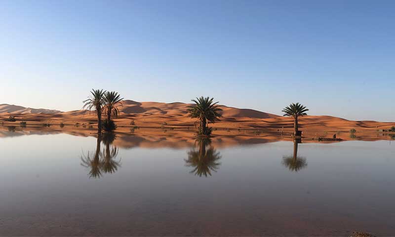 Oasis en el Sahara