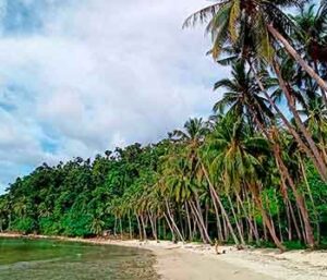 Playa con palmeras en Filipinas